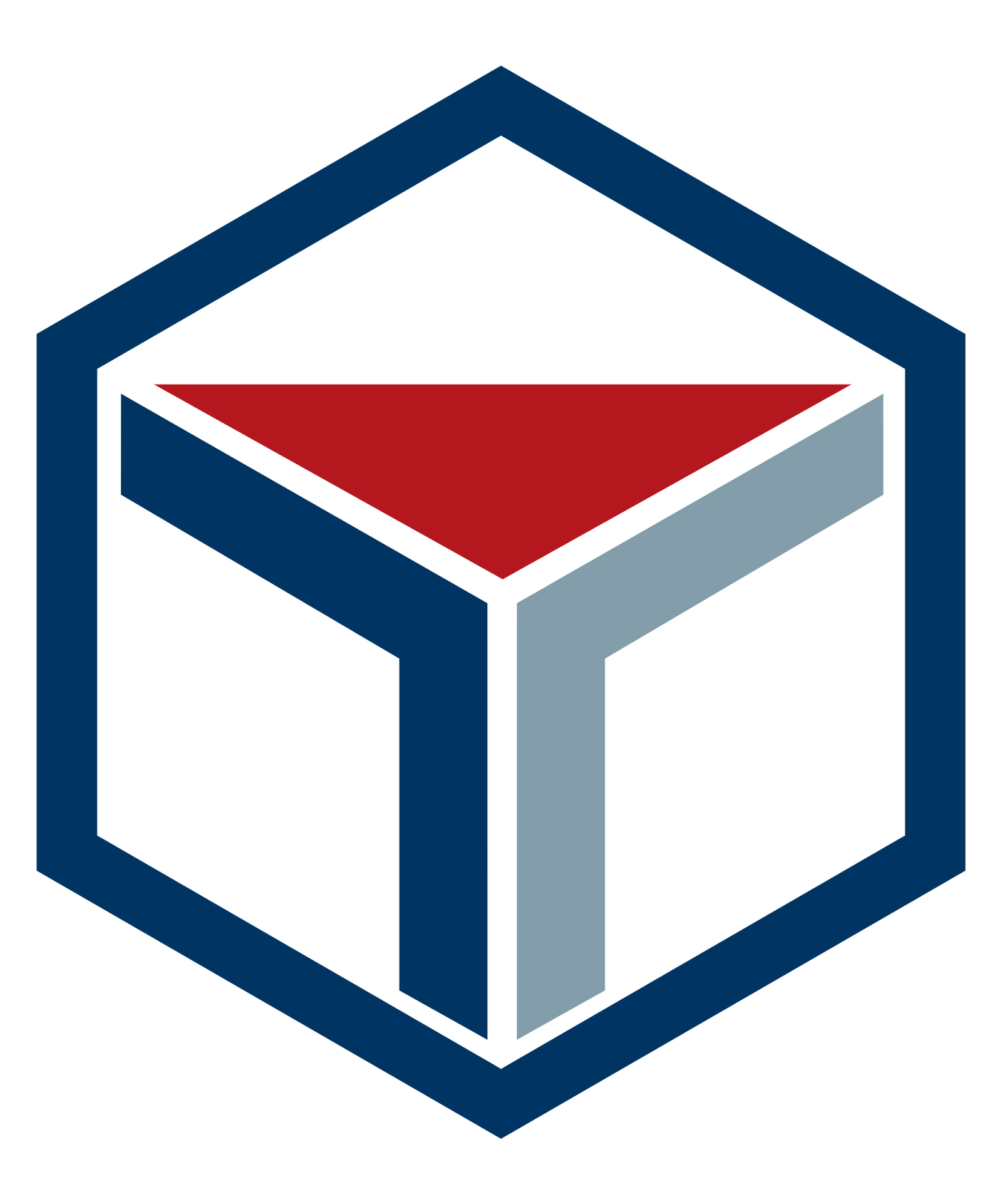 Técnica Gráfica Logo